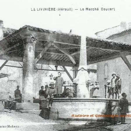 Holiday home La Maison De Leontine La Liviniere